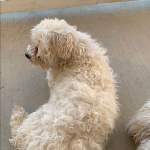 Meet your Posher, Becky